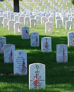 Graves at Arlington on Memorial Day.JPG
