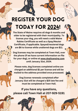 Buxton Dog Licenses
