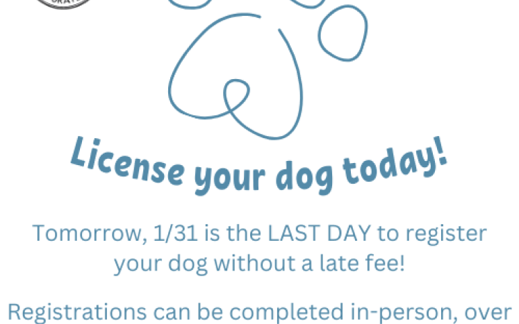 Buxton Dog Registration